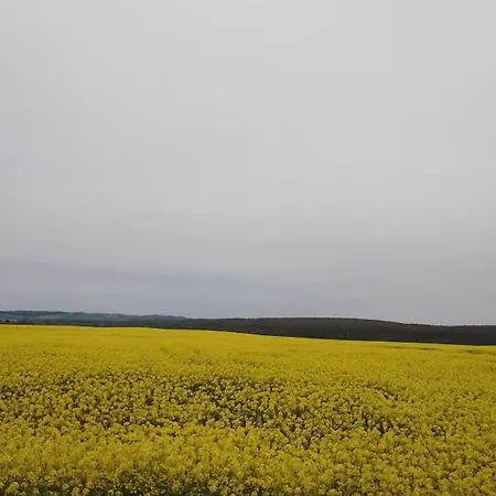 Almafas Jakuzzis Vendeghaz Orseg Feriehus Kerkakutas